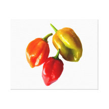 Three Scotch Bonnet Peppers Red Orange Yellow Pic Canvas Print