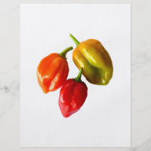 Three Scotch Bonnet Peppers Red Orange Yellow Pic Custom Flyer