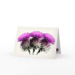 Three Scottish Thistles