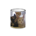 Three Shelter Kittens Mug