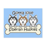 Three Siberian Huskies postcards