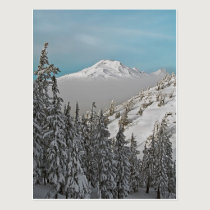 Three Sisters from Bachelor Butte - No Text. postcards