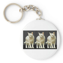 Three Snazzy Cats