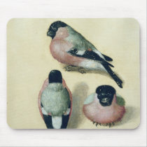 Three studies of a bullfinch mousepads