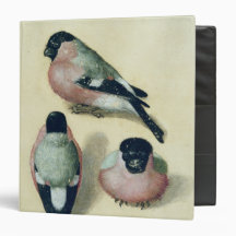 Three studies of a bullfinch vinyl binders