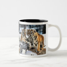 Three Tiger Cubs In Snow Art Gifts Mugs