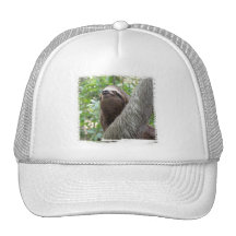 Three Toed Sloth Baseball Hat