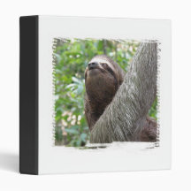 Three Toed  Sloth Binder