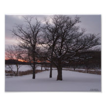 Three Trees at Sunset Photo Print