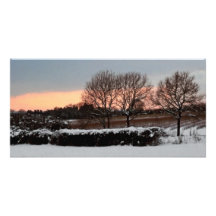Three Trees in Winter Picture Card