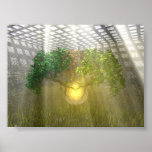 Three Trees Print