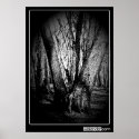 Three Trees Poster posters
