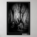 Three Trees Poster