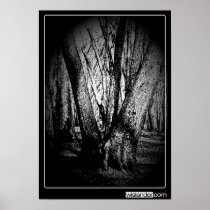 Three Trees Poster