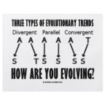 Three Types Of Evolutionary Trends (Evolution) Flyers