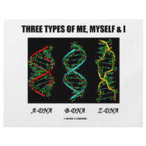 Three Types Of Me, Myself & I (A-DNA B-DNA Z-DNA)