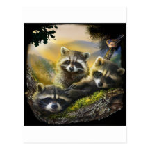 three very cute young raccoons with bird post cards