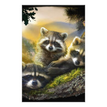 three very cute young raccoons with bird customized stationery