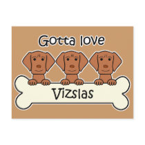 Three Vizslas Post Card