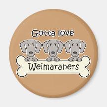 Three Weimaraners Fridge Magnet