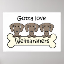 Three Weimaraners Poster