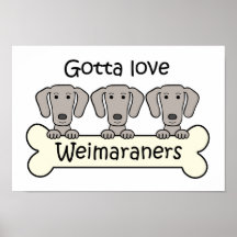 Three Weimaraners Print