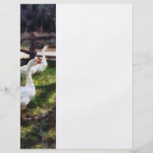 Three White Geese Personalized Flyer