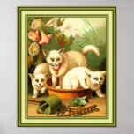 Three White Kittens Poster
