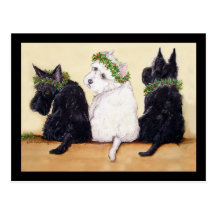 Three Wise Terriers Postcards