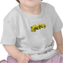 Three Yellow Orchids T Shirts
