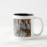 Three Zebras Coffee Mug