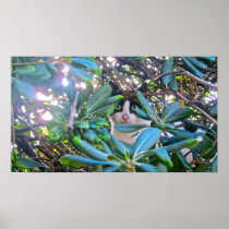 Through The Leaves Print