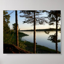 Through the Pines Poster