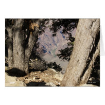 Through The Trees Card