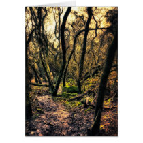 Through the Wild Woods greetings card cards