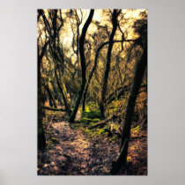 Through the Wild Woods poster print posters