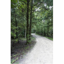 Thru the Florida Woods Cut Outs