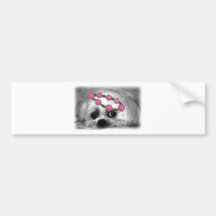 Thumbellina. is my name I'm a beautiful maltese Bumper Sticker