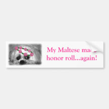 Thumbellina. is my name I'm a beautiful maltese Bumper Stickers