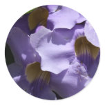 Thunbergia Round Stickers