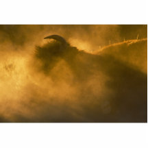 Thunder Beast Makes Fire Photo Cut Outs