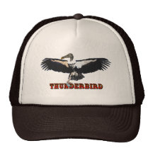 Thunderbird Hat
