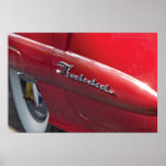 Thunderbird Print