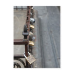TI AMO Postcard
