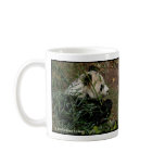 Tian Tian and Mei Xiang Giant Pandas National Zoo Coffee Mugs