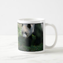 Tian Tian and Mei Xiang Giant Pandas National Zoo Coffee Mugs