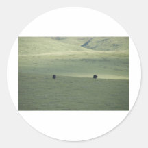 Tibet Sticker