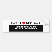 TIBETAN KYI APSO BUMPER STICKERS