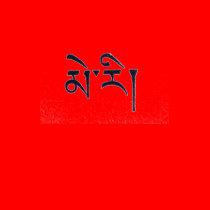 Tibetan Mary Tee t-shirts