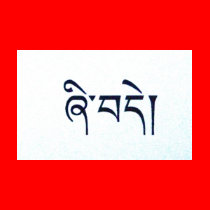 Tibetan Peace Tee t-shirts